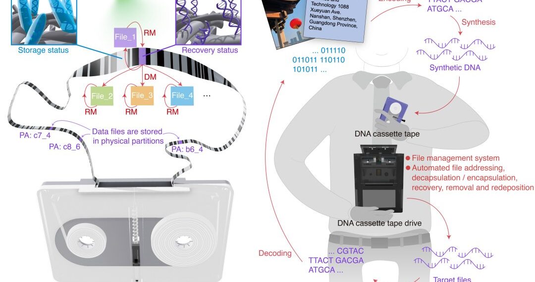 Crédito: www.inovacaotecnologica.com.br