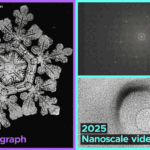 010160250930 gelo maleavel