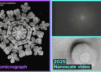 Gelo Maleável: Descoberta Surpreende e Desafia Compreensões
