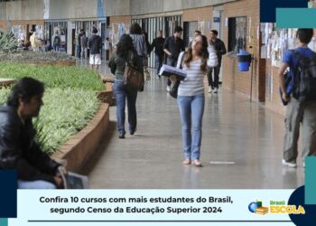 10 Cursos Mais Populares no Ensino Superior Brasileiro em 2024