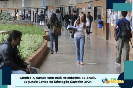 10 Cursos Mais Populares no Ensino Superior Brasileiro em 2024 10 cursos com mais estudantes do brasil