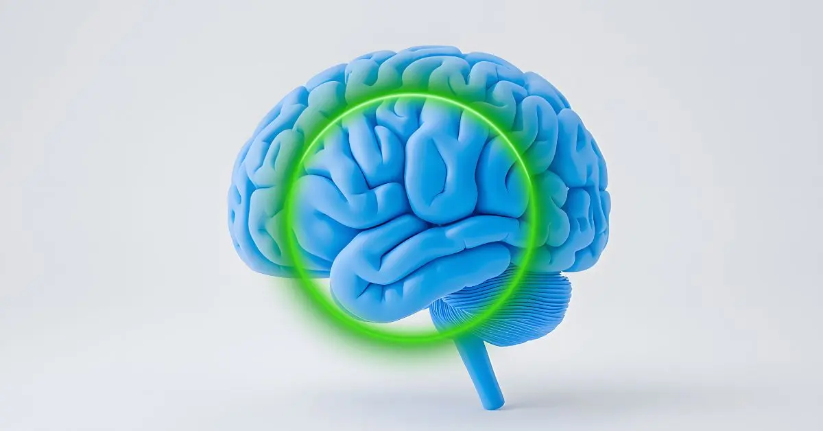 Monitor Cerebral