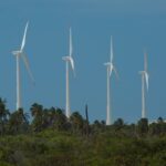 uee em icara ce 14814529459 o