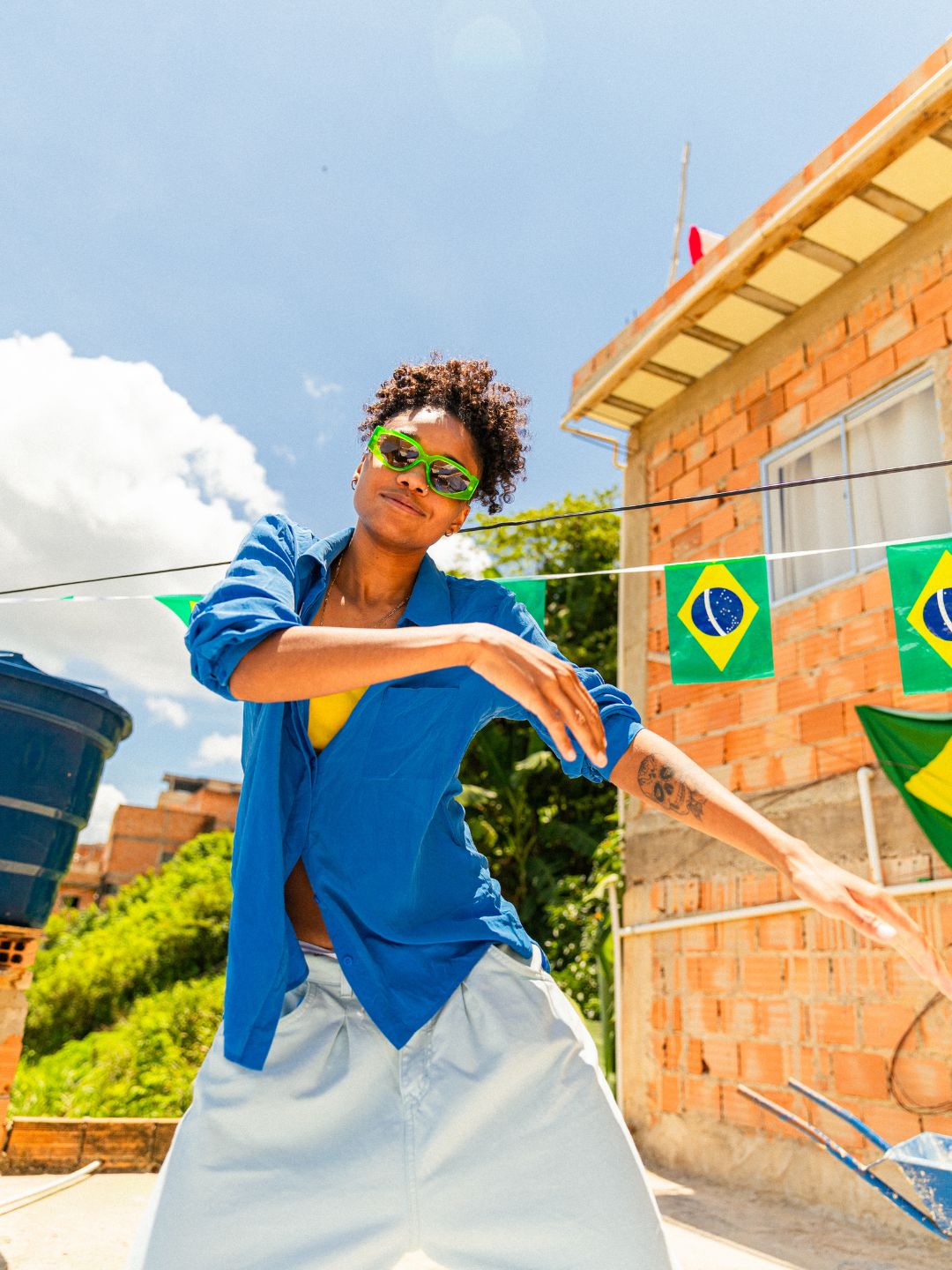 Curiosidades sobre o Brasil