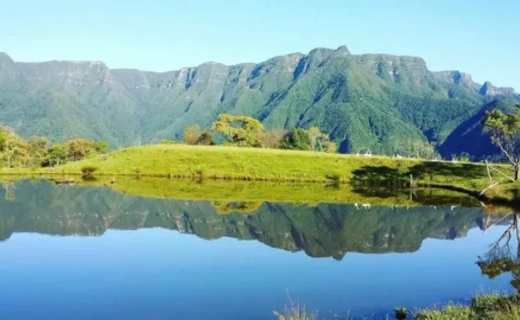 personalidades catarinenses