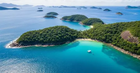 ddd 24 rio de janeiro