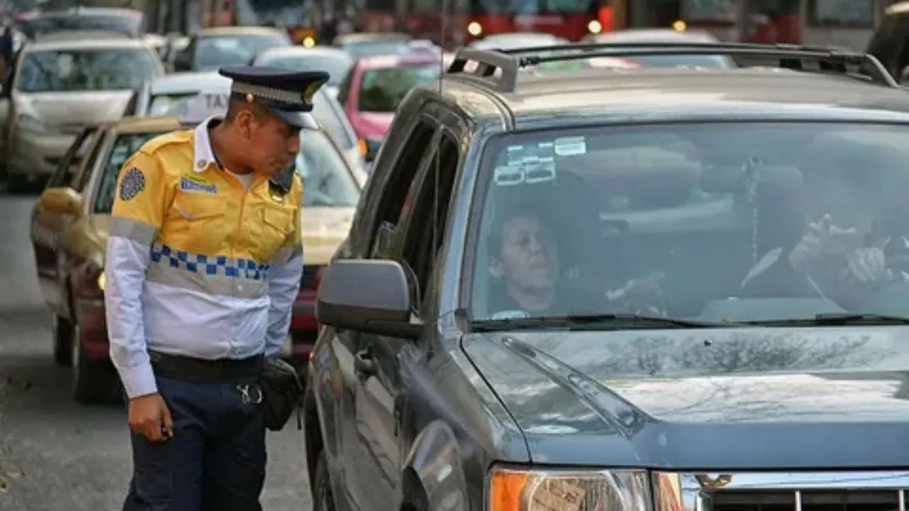 Estrutura de Apoio e Serviços Disponíveis