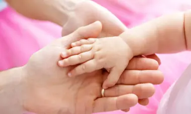 bolsa familia bolsa familia