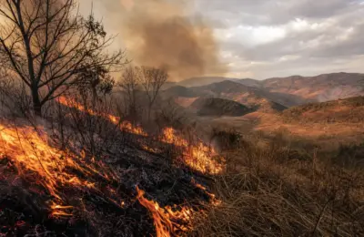 Risco de queimadas em Minas Gerais aumenta durante o período de seca