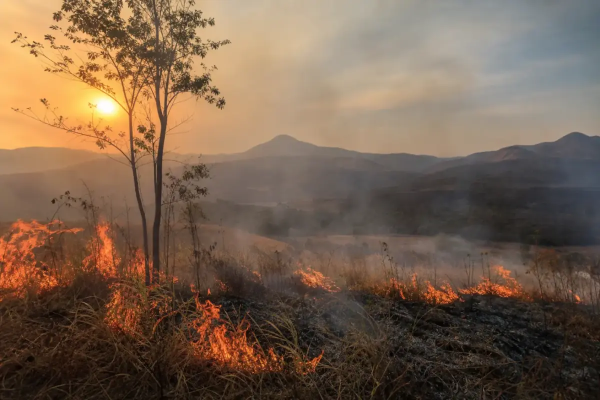 Risco de queimadas em Minas Gerais aumenta com o período de seca; veja como prevenir incêndios