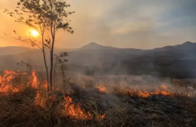 Risco de queimadas em Minas Gerais aumenta com o período de seca; veja como prevenir incêndios