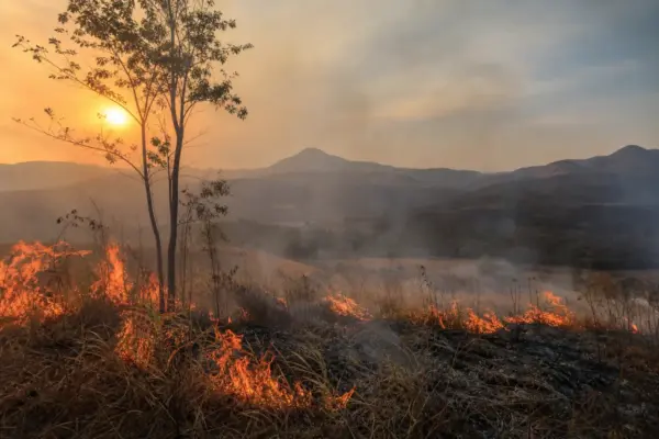 Risco de queimadas em Minas Gerais aumenta com o período de seca; veja como prevenir incêndios