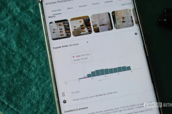 Usuários relatam desaparecimento do gráfico de horários de pico no Google Maps